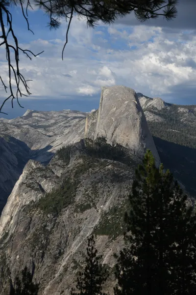 DSC_4168 (Large).JPG